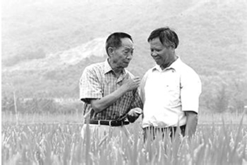 袁隆平永远是罗孝和最坚强的后盾和相知相惜的领路人