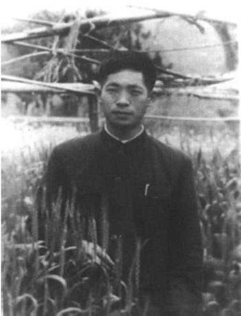 袁隆平青年时期