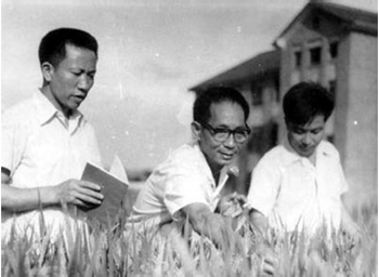 袁隆平与助手