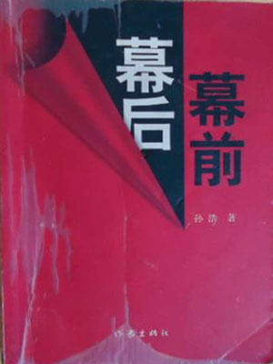 孙浩,幕前幕后