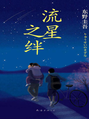 东野圭吾,流星之绊