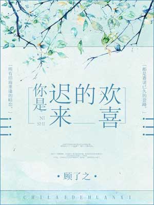 顾了之,你是迟来的欢喜