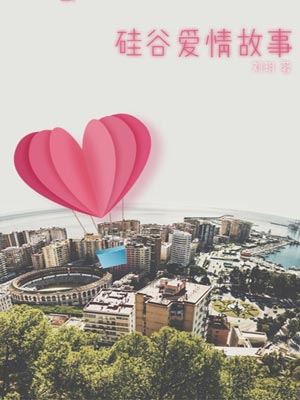 硅谷爱情故事