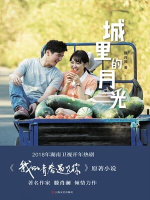 滕肖澜,城里的月光（我的青春遇见你）