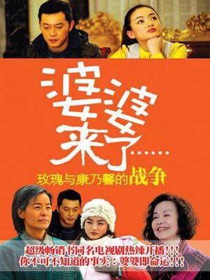 阑珊,婆婆来了