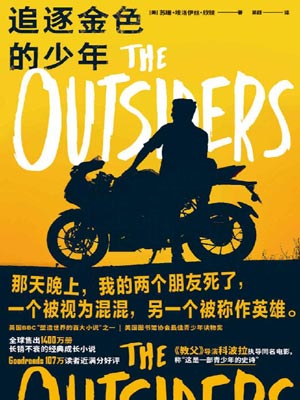 苏珊·埃洛伊丝·欣顿,追逐金色的少年